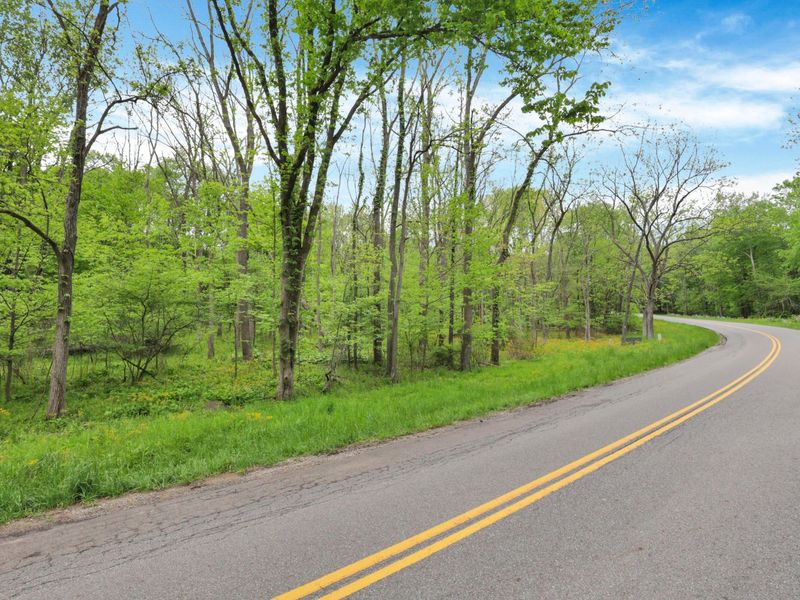 0 Daffodil Drive , Unit Lot 163, Howard, OH 43028 Photo 3