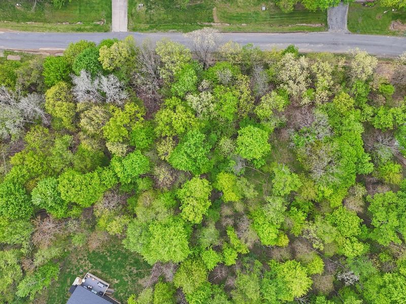 0 Daffodil Drive , Unit Lot 163, Howard, OH 43028 Photo 4