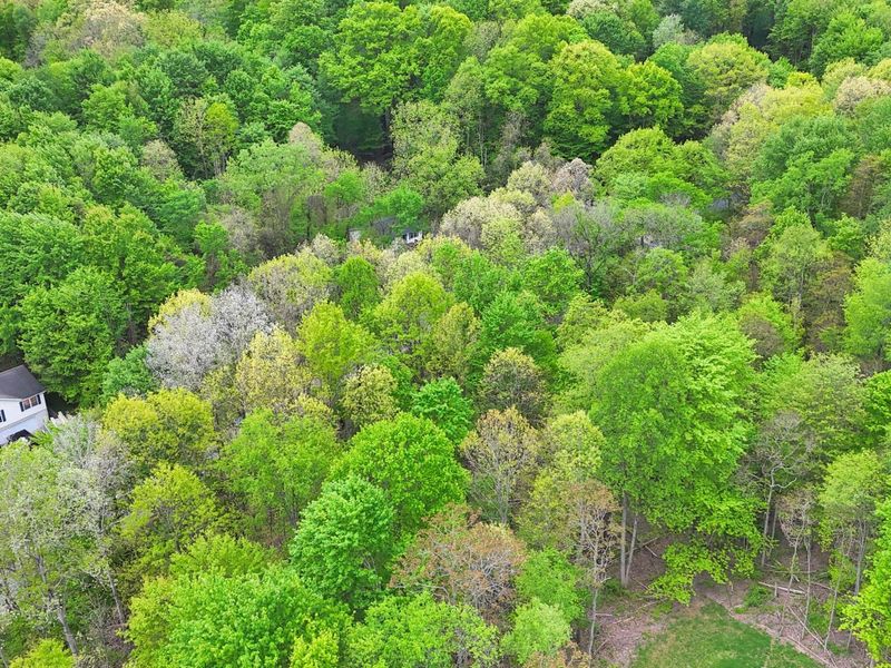0 Daffodil Drive , Unit Lot 163, Howard, OH 43028 Photo 5