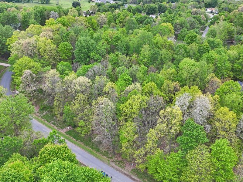 0 Daffodil Drive , Unit Lot 163, Howard, OH 43028 Photo 6
