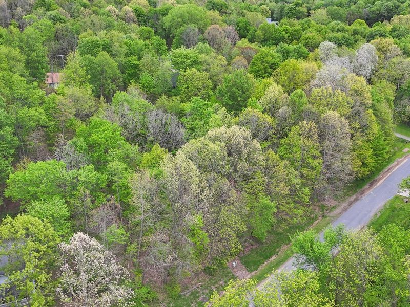 0 Daffodil Drive , Unit Lot 163, Howard, OH 43028 Photo 7