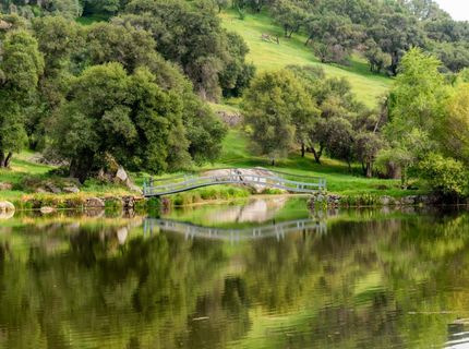 265 Grapevine Ravine Ln, Newcastle, CA 95658 Photo