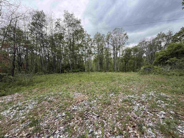 1154 Brady Gate Road, Valley Head, WV 26294