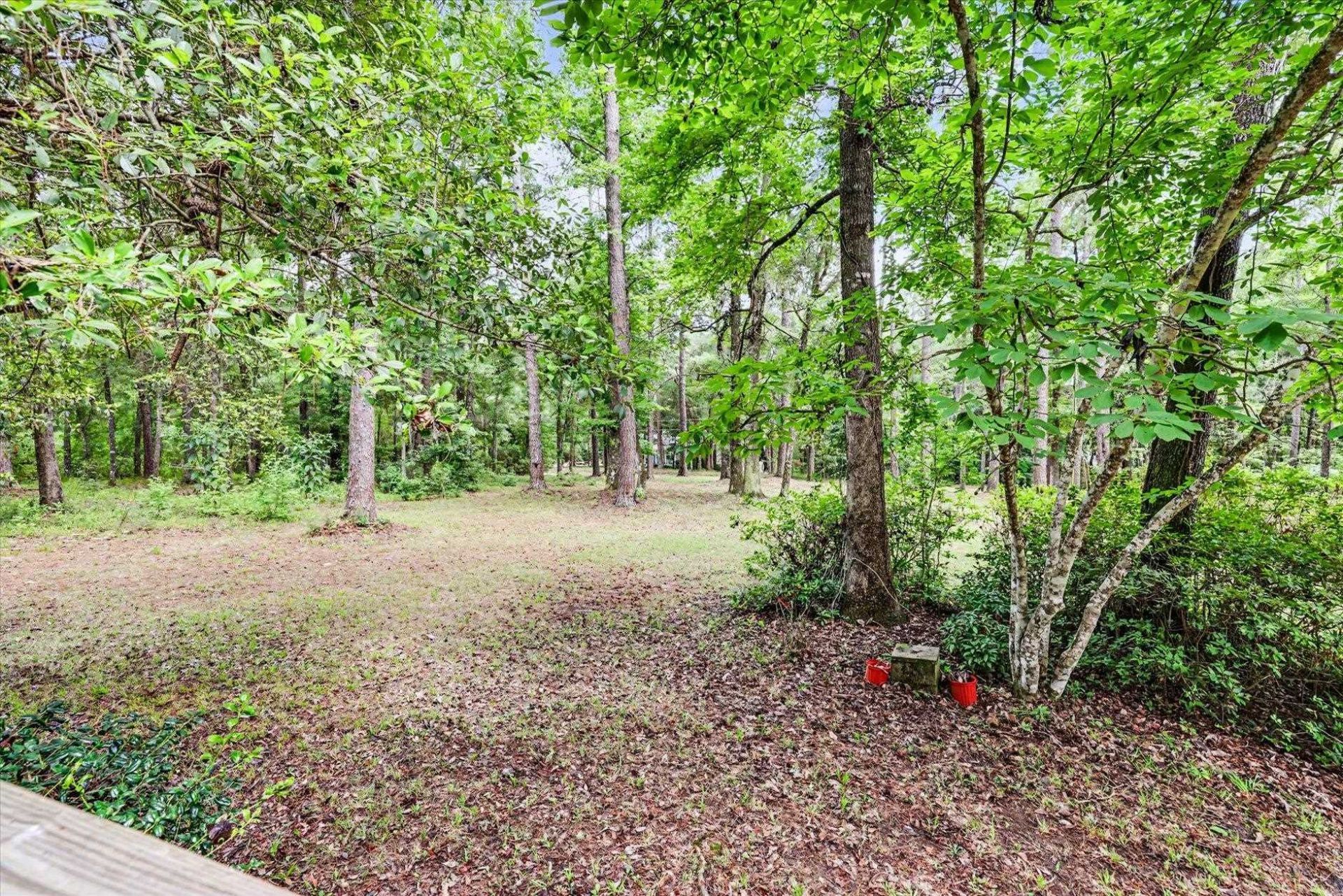 6302 Brushy Creek Road , Tallahassee, FL 32311 Photo