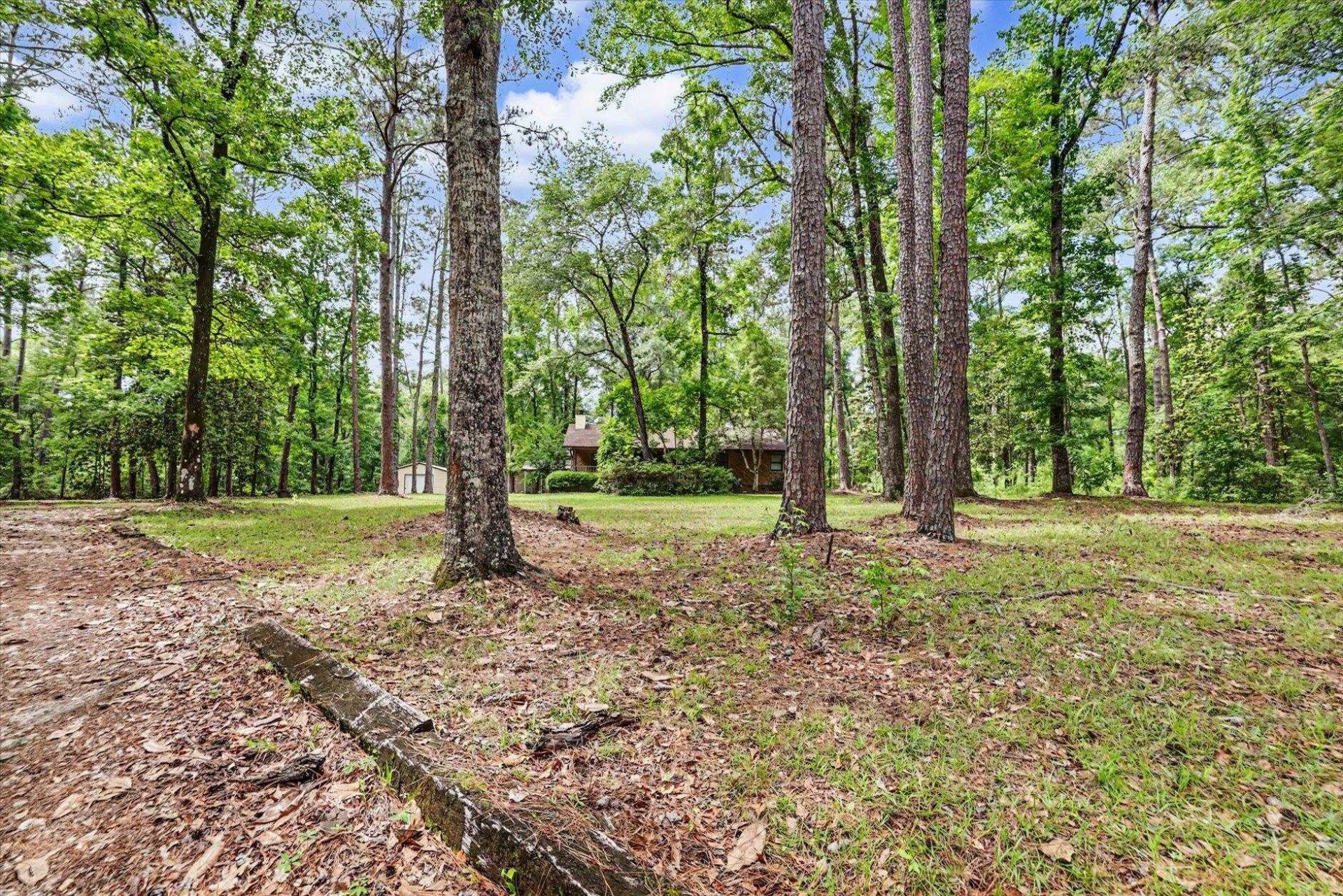 6302 Brushy Creek Road , Tallahassee, FL 32311 Photo
