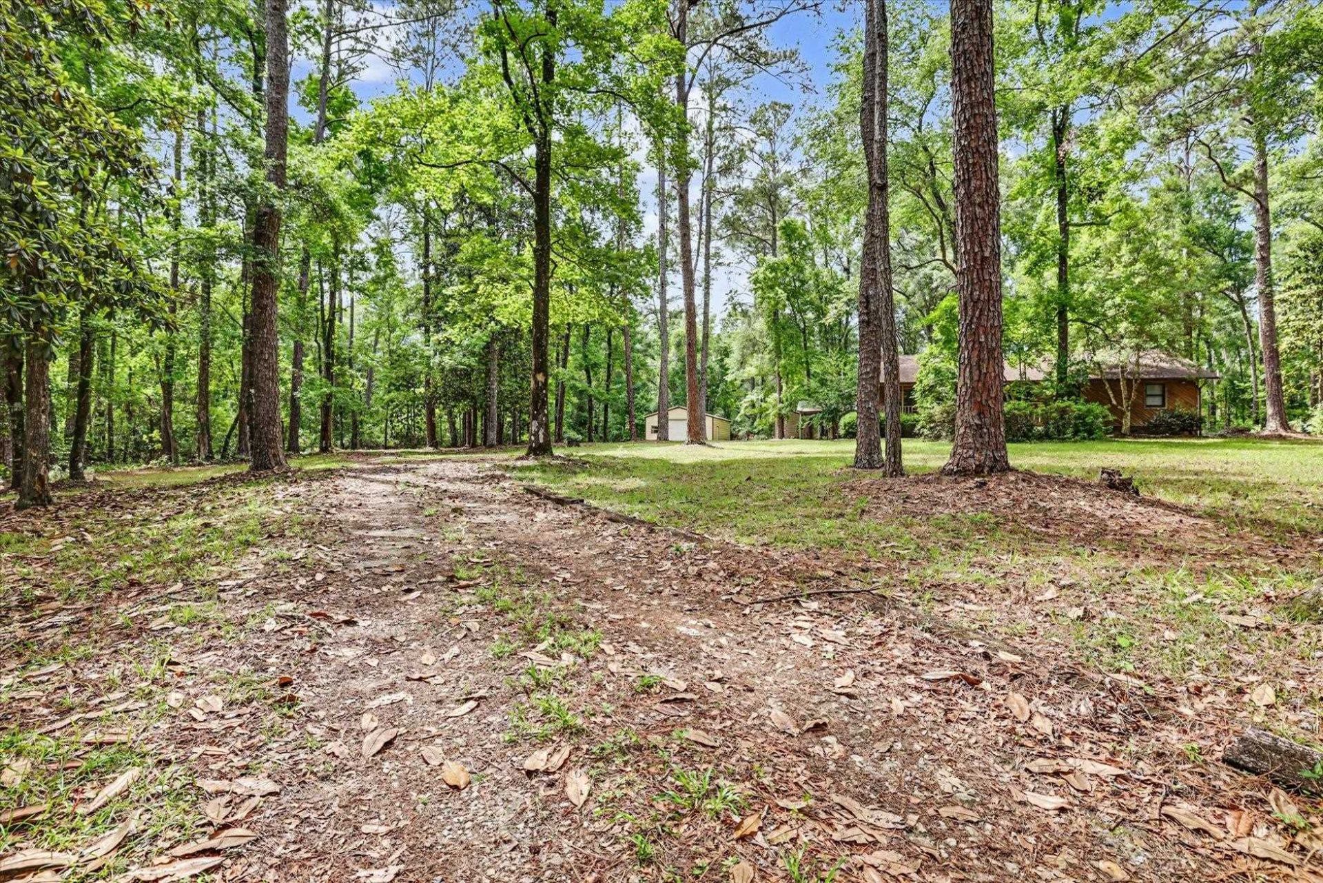 6302 Brushy Creek Road , Tallahassee, FL 32311 Photo
