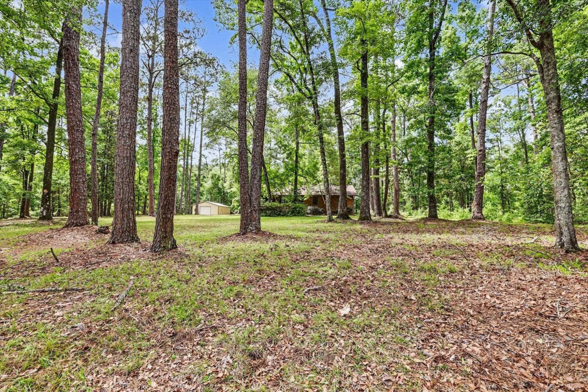 6302 Brushy Creek Road , Tallahassee, FL 32311 Photo