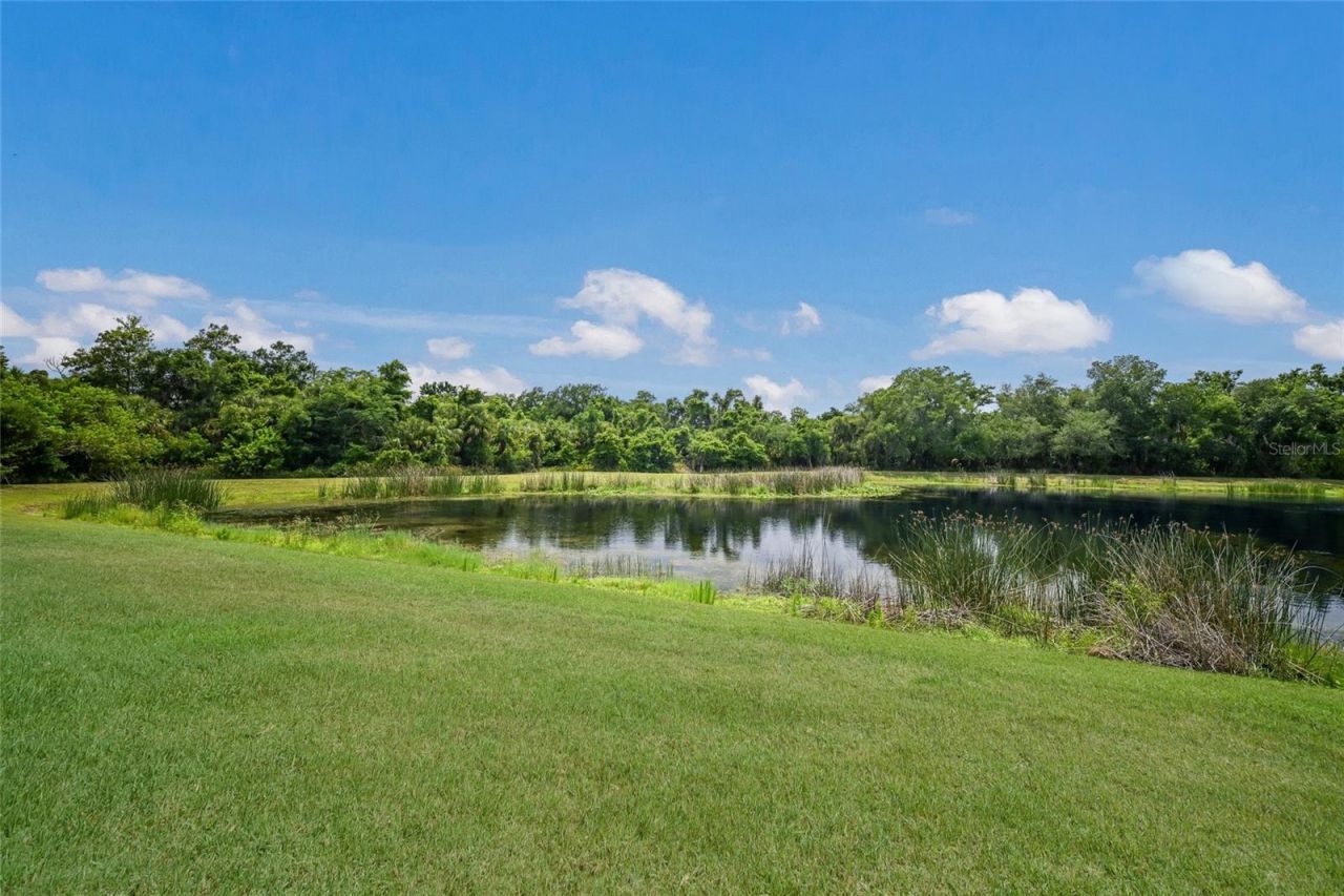 12287 Lavender Loop, Bradenton, FL 34212 Photo