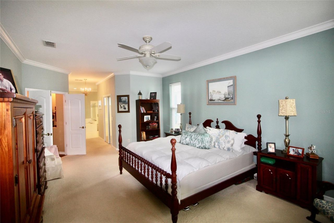 9035 Laurel Ridge Drive, Mount Dora, FL 32757 Photo