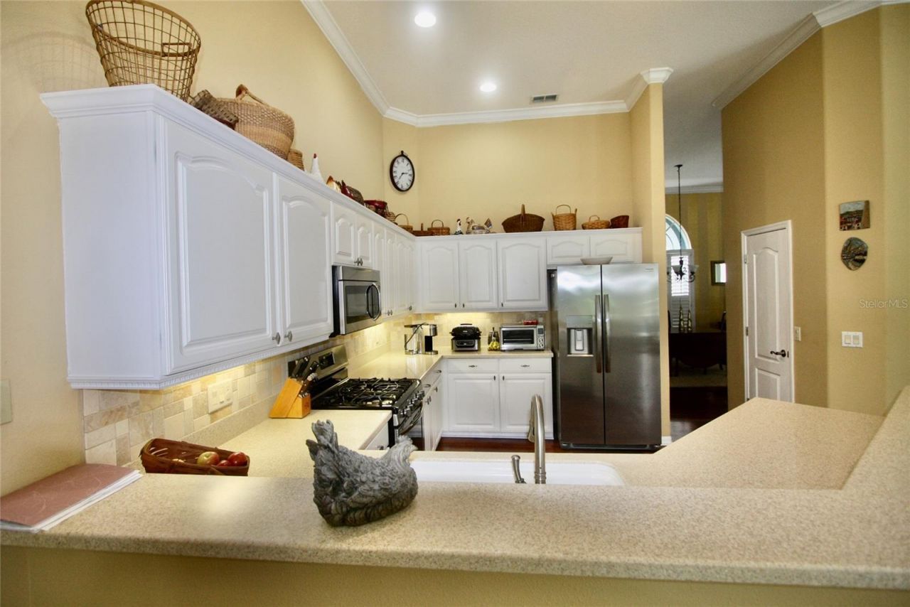 9035 Laurel Ridge Drive, Mount Dora, FL 32757 Photo