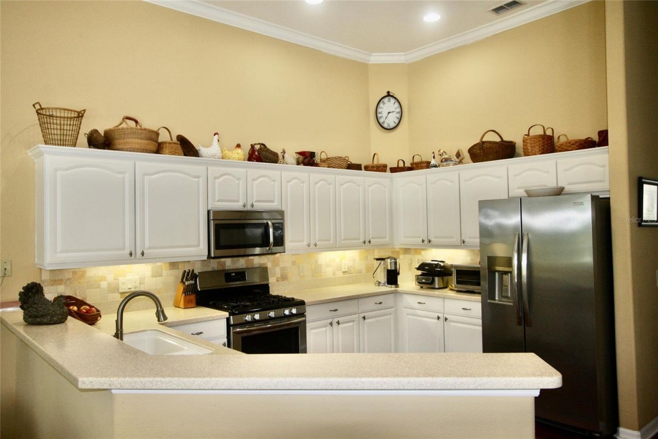 9035 Laurel Ridge Drive, Mount Dora, FL 32757 Photo