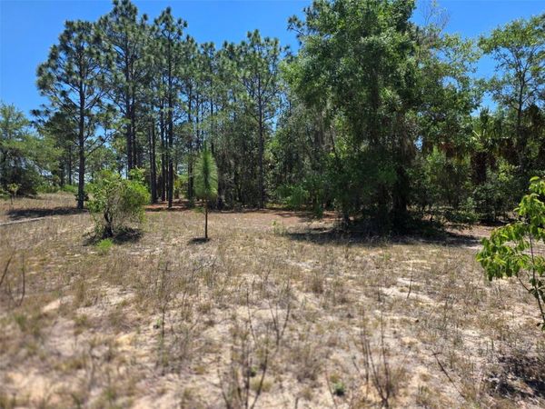 11837 N CAPTIVA TERRACE , DUNNELLON, FL 34433