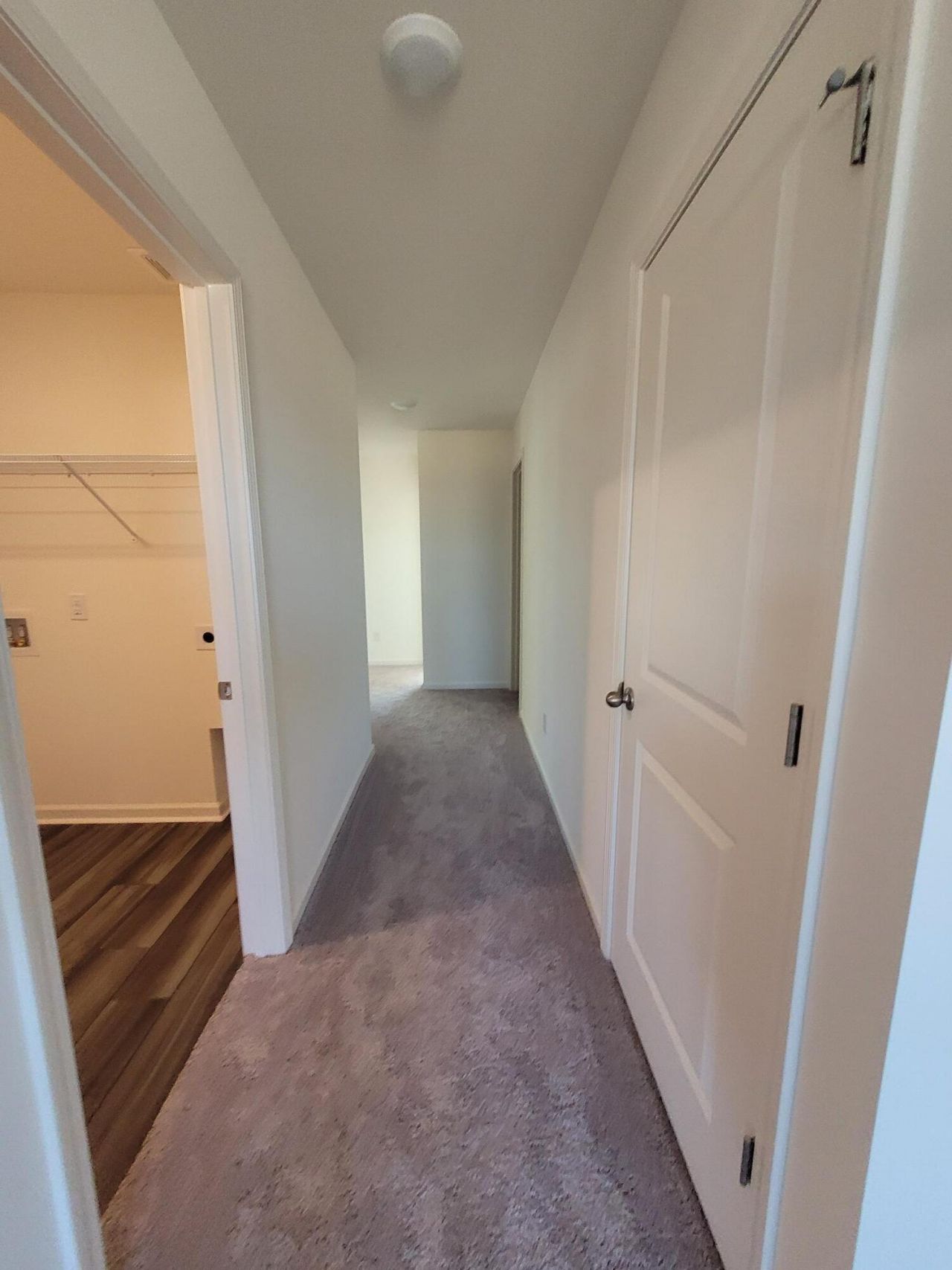 1245 Carriage Wood Circle Photo 9
