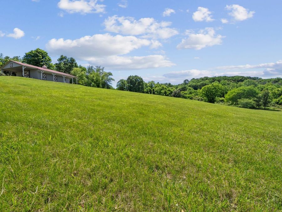 Property Image 88