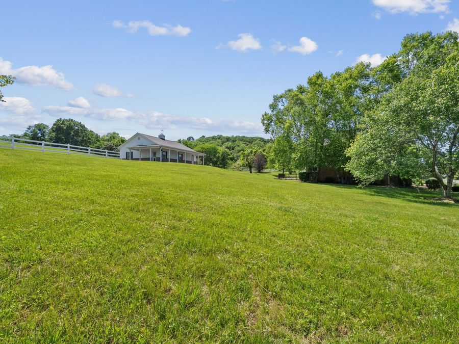 Property Image 91