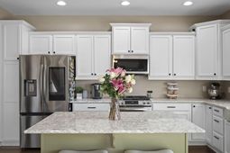 144 Weeping Cypress Drive photo 4
