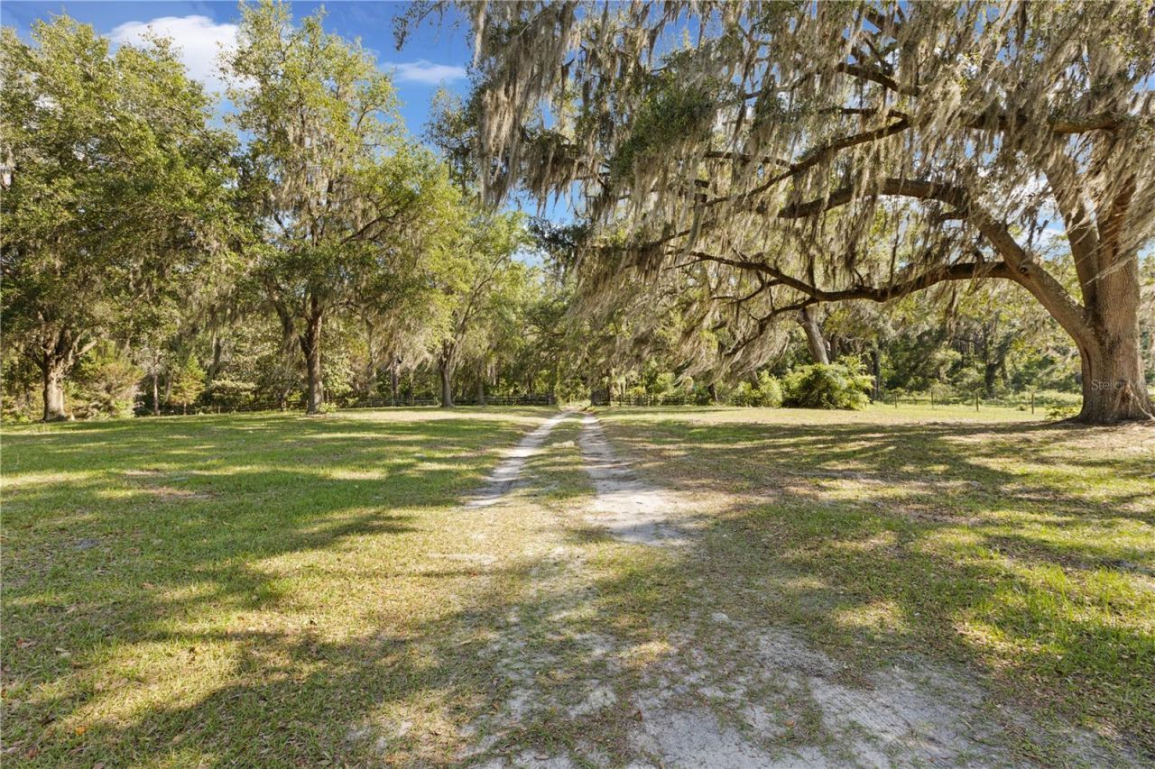 19328 SW 58th Place, Archer, FL 32618 Photo