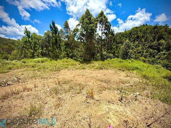 715 PR, Cayey, PR 00736