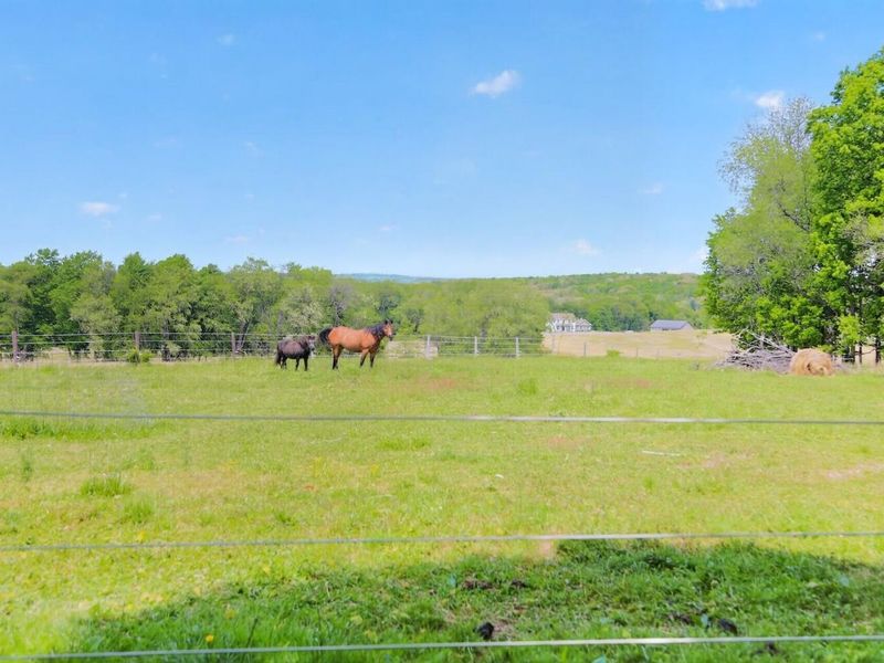 23783 Caves Road , Gambier, OH 43022 Photo 34