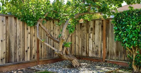 1397 Maplewood Dr, Livermore, CA 94551 Photo