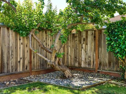 1397 Maplewood Dr, Livermore, CA 94551 Photo