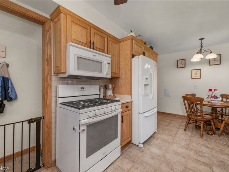 3209 Tressa Avenue, Lorain, OH 44052 Photo 20