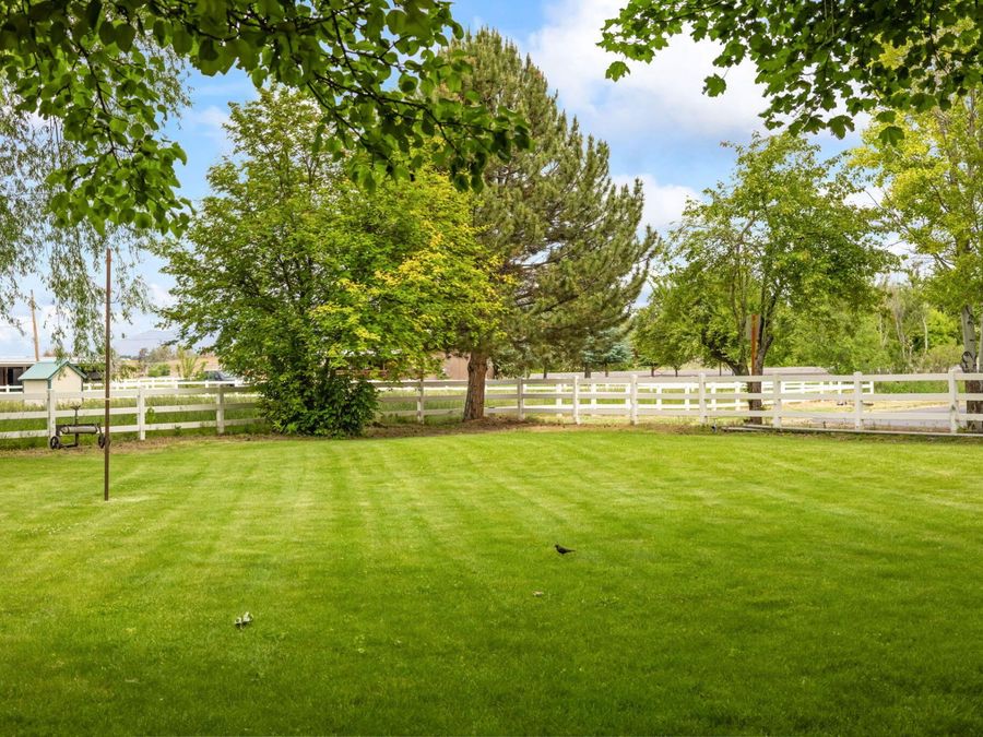 Property Image 59