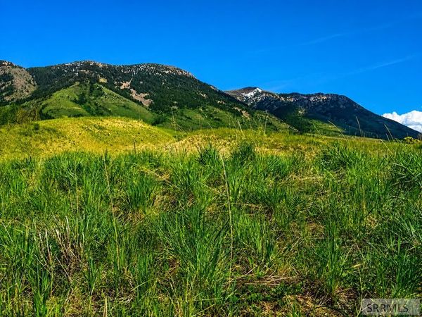 1355 Grey Fox Loop, INKOM, ID 83245