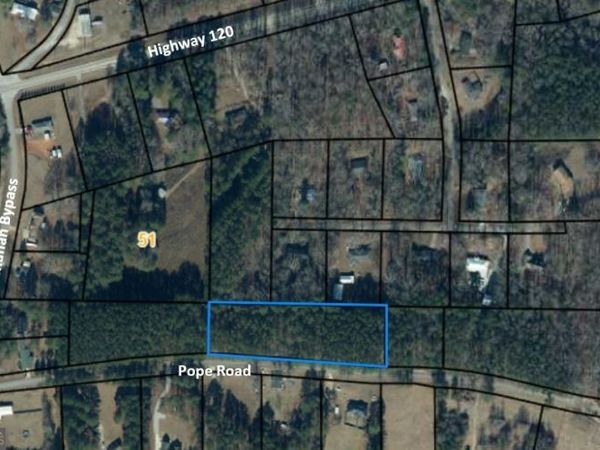 LOTS 4 & 5 Pope Road, Buchanan, GA 30113
