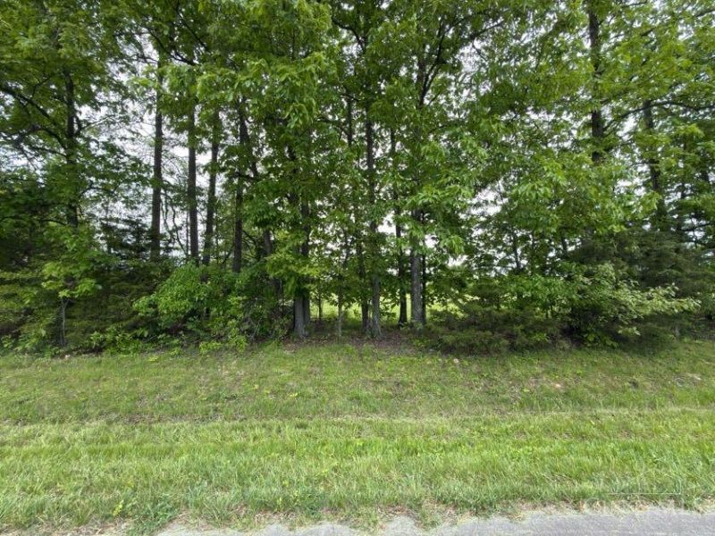 1 Texas Drive, Sardinia, OH 45171 Photo 4