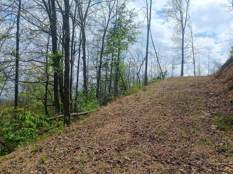 9871 County Road 5, Pedro, OH 45659 Photo 49