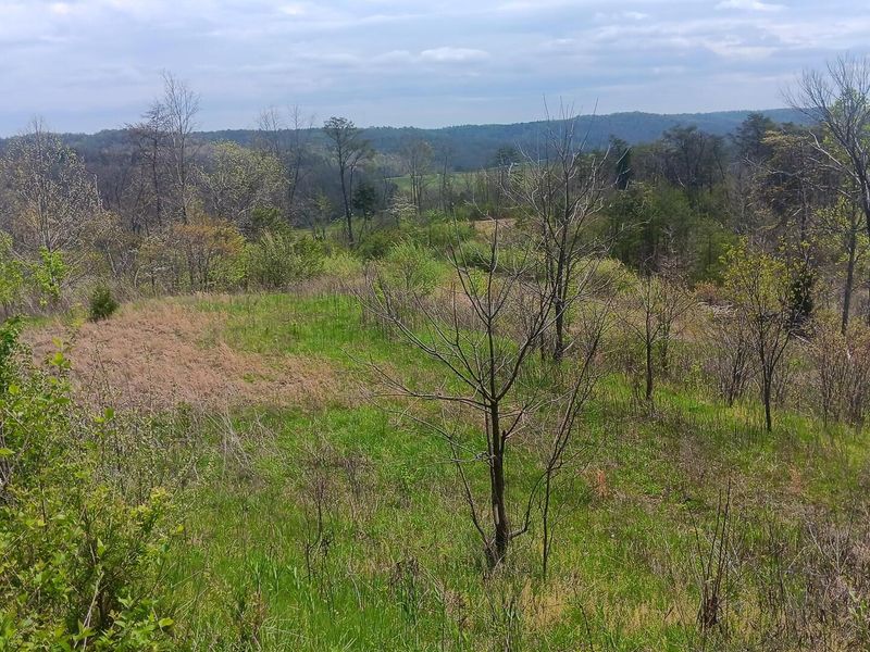 9871 County Road 5, Pedro, OH 45659 Photo 50