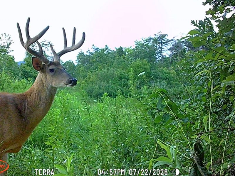 9871 County Road 5, Pedro, OH 45659 Photo 51