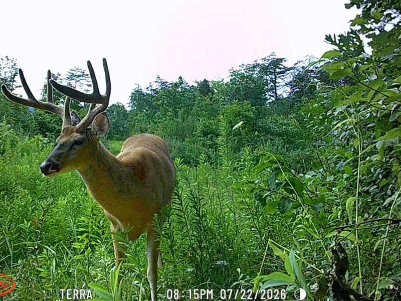 9871 County Road 5, Pedro, OH 45659 Photo 52