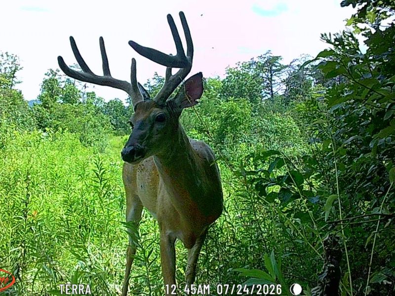 9871 County Road 5, Pedro, OH 45659 Photo 55