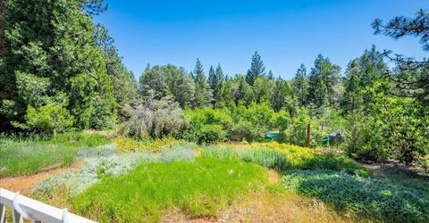6645 Blackhawk Ln, Foresthill, CA 95631 Photo