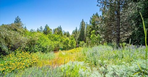 6645 Blackhawk Ln, Foresthill, CA 95631 Photo