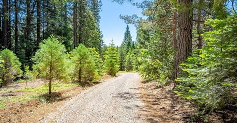 6645 Blackhawk Ln, Foresthill, CA 95631 Photo