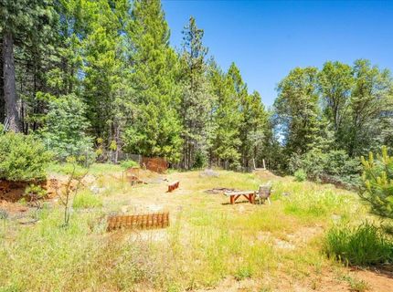 6645 Blackhawk Ln, Foresthill, CA 95631 Photo