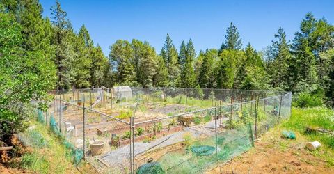 6645 Blackhawk Ln, Foresthill, CA 95631 Photo