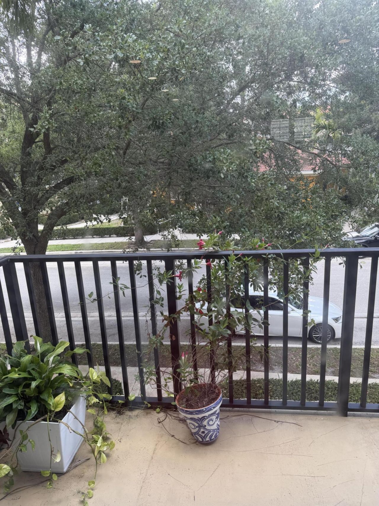 132 Greenwich Circle, Jupiter, FL 33458 Photo
