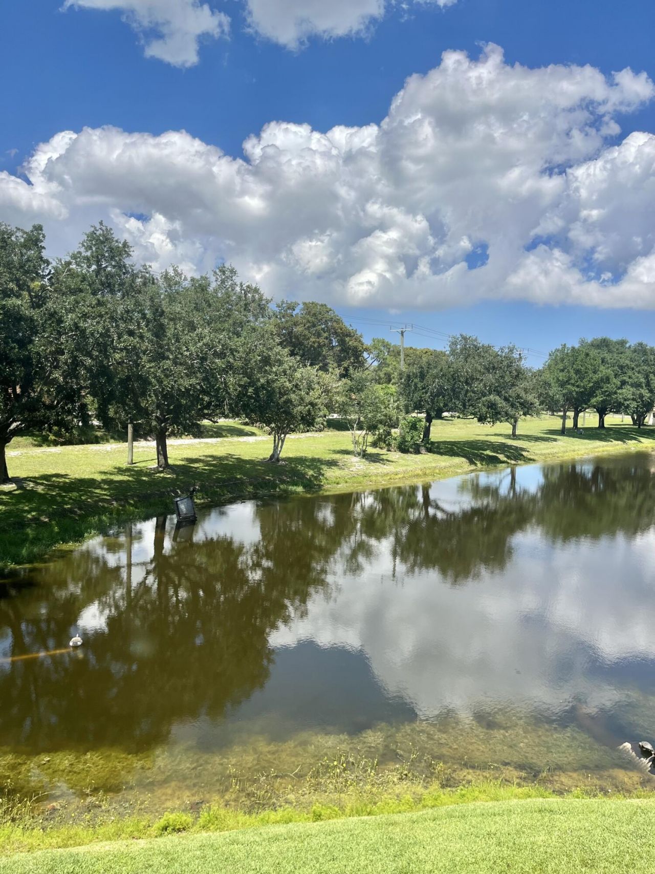 4243 Oak Terrace Drive, Unit 4243, Greenacres, FL 33463 Photo