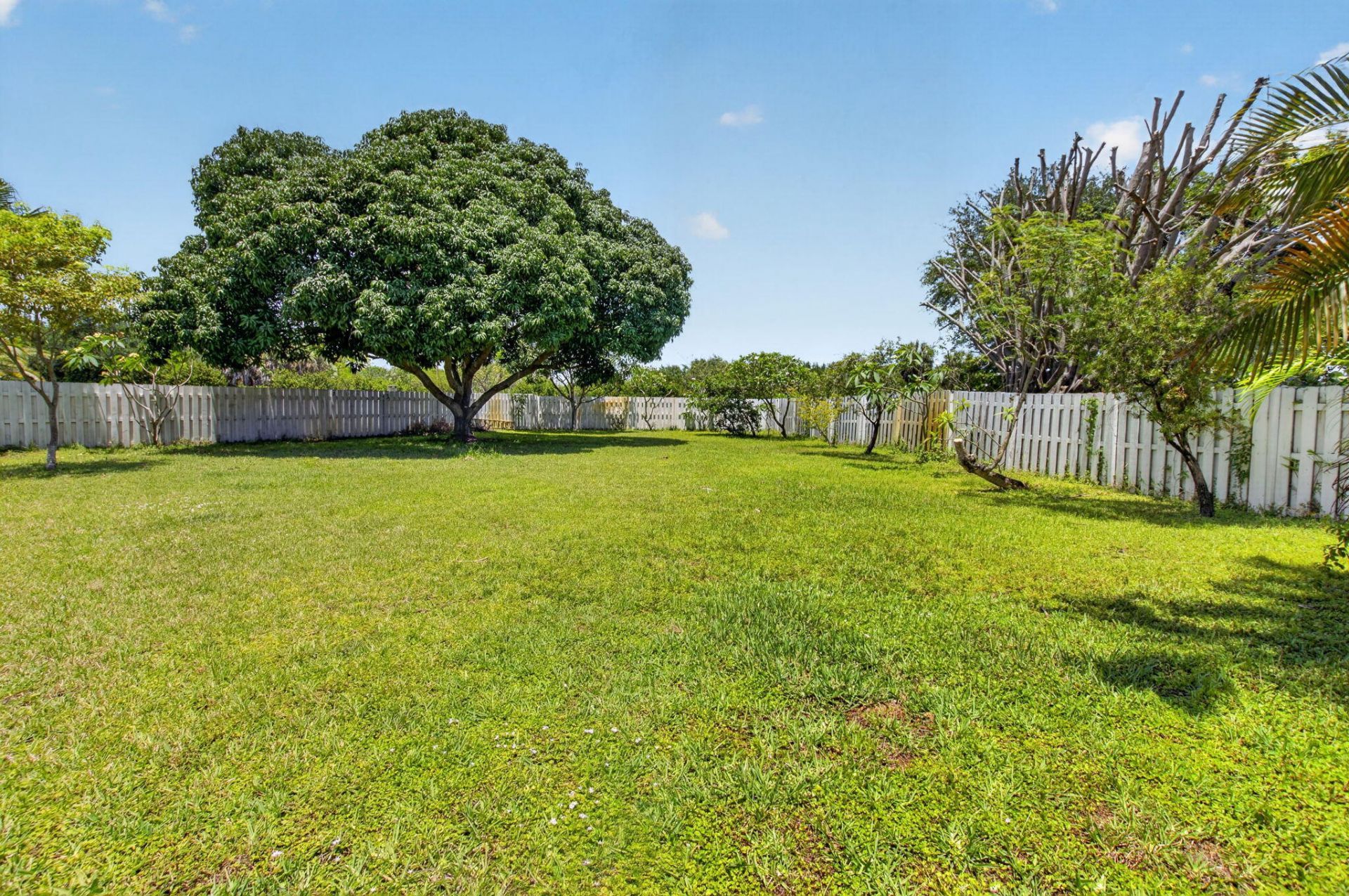 6207 Shadow Tree Lane, Lake Worth, FL 33463 Photo
