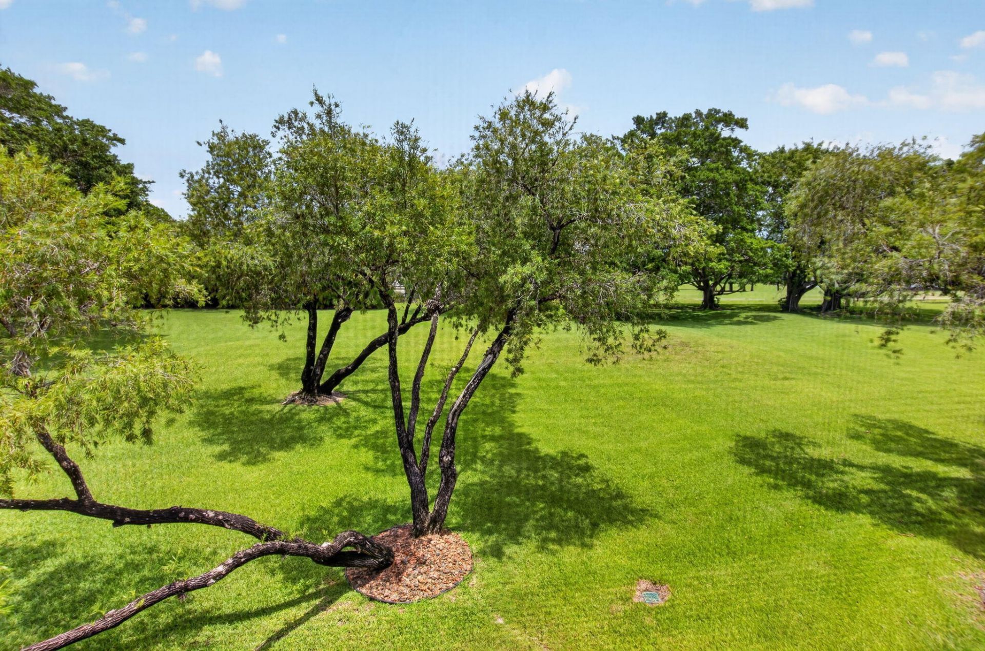 5907 Parkwalk Drive, Boynton Beach, FL 33472 Photo