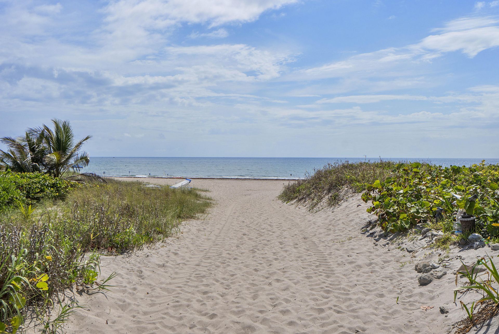 1950 NE 7th St, Unit 105, Deerfield Beach, FL 33441 Photo