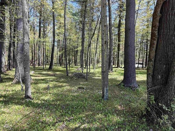 N981 GREY EAGLE TRAIL, Keshena, WI 54135