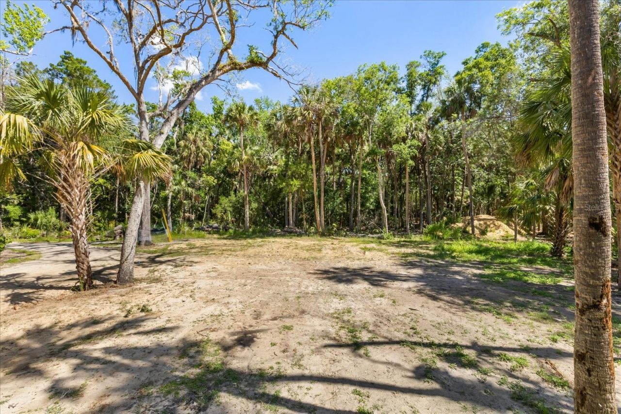 10408 W Larchwood Street , Homosassa, FL 34448 Photo