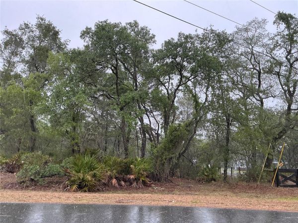 10353 MEADOW WREN AVENUE , WEEKI WACHEE, FL 34613