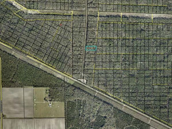 E DEEP CREEK BOULEVARD, HASTINGS, FL 32145