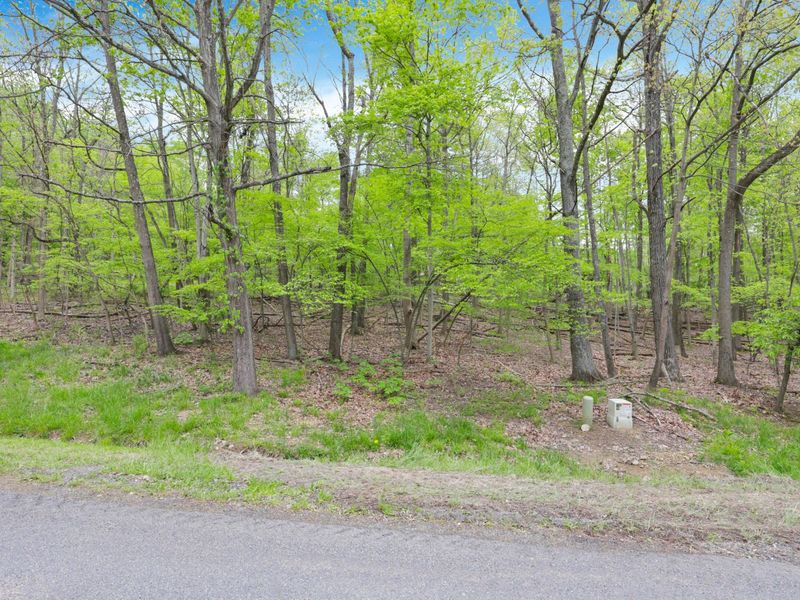 0 Apple Valley Drive , Unit Lot 225, Howard, OH 43028 Photo 4